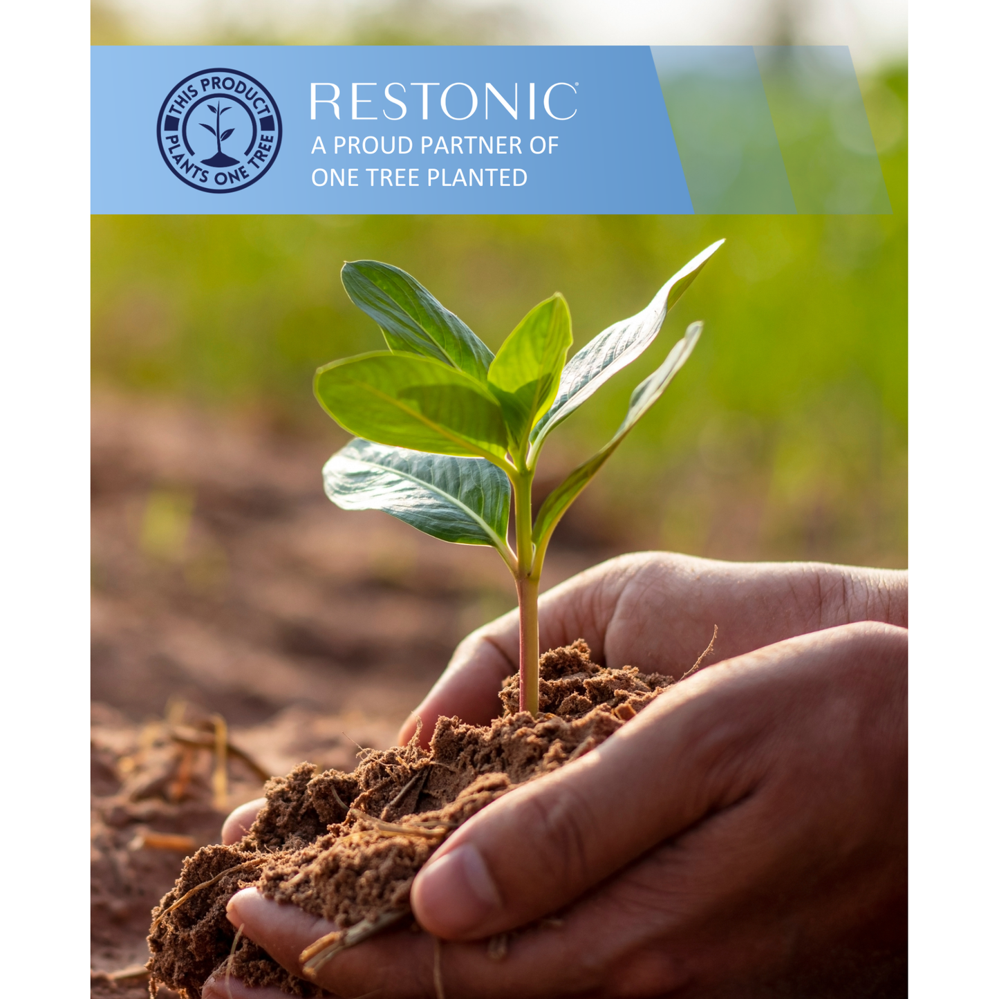 Restonic ComfortCare Plush with Premium Comfort Bedding Bundle