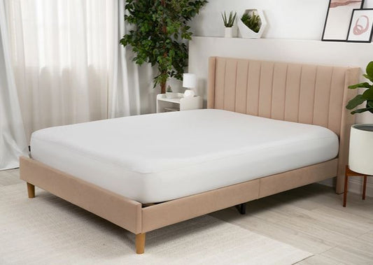 BedGear Basic Mattress Protector - California King